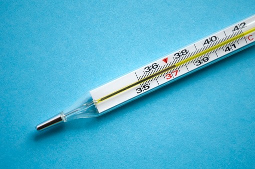 Mercury for thermometer discount
