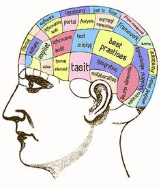 Matter of discount the brain
